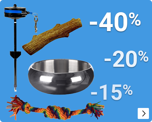 Accessoires -10 / -50% DOG